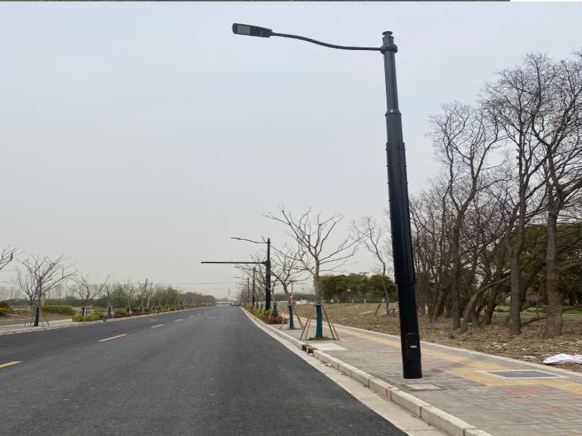 顺城区上海综合杆 太阳能路灯工程